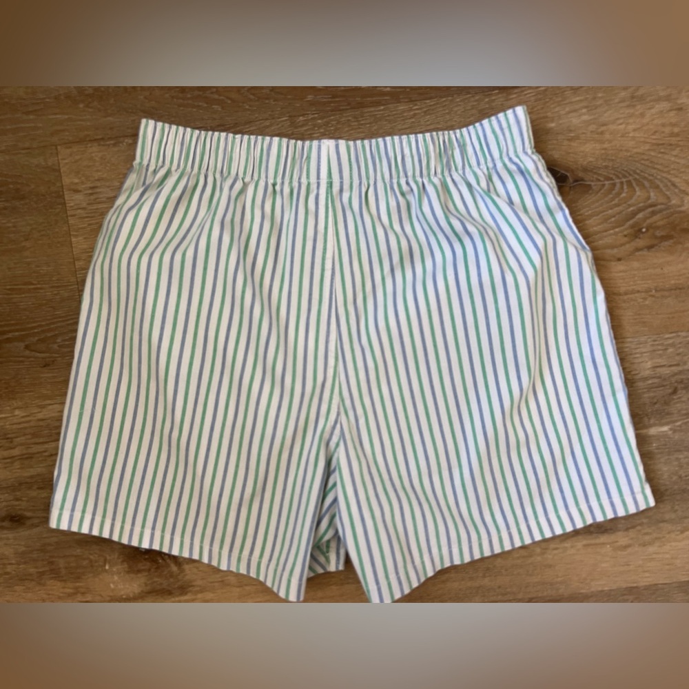 American Eagle Outfitters Striped Boxer Shorts with strawberry applique sz SP - Picture 4 of 4